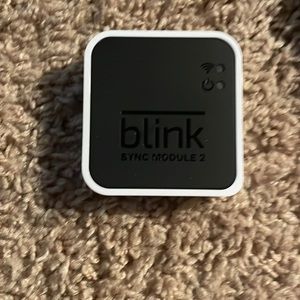 Blink Security Camera and Module. Batteries Included.